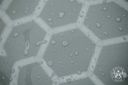 Quick Detailer 500ml – Macro close-up of water beads on car paint forming hexagonal pattern, showing hydrophobic protection | Car Detailing | miio Store