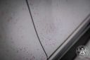 Close-up of iron fallout contamination on car paint surface before decontamination